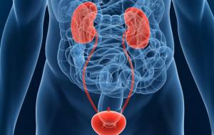 Urinary Tract Cancer Market Surge Towards Solid Growth by 2021