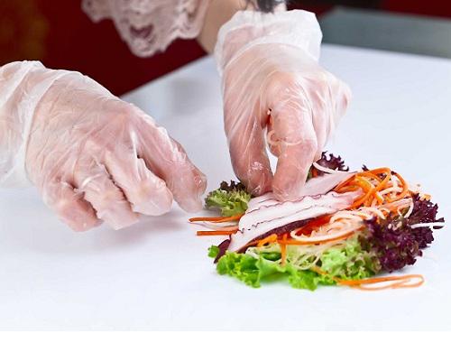 United States Foodservice Gloves Market 2017 by Service