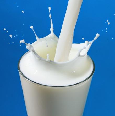 Fluid Milk Global Market Analysis 2017 - Lactalis Group, Danone,
