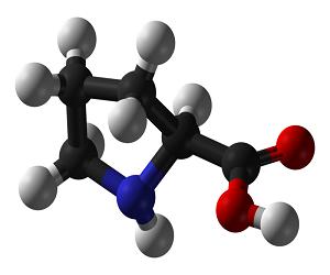 Global Proline Market