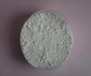 Global Calcium Carbonate From Oyster Shell Market