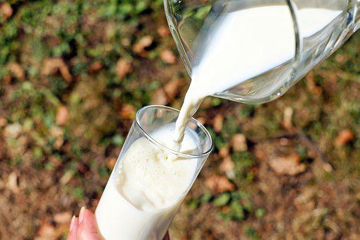 North America Milk Market Driven by Growing Demand