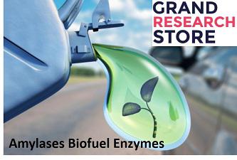 Amylase Biofuel Enzymes