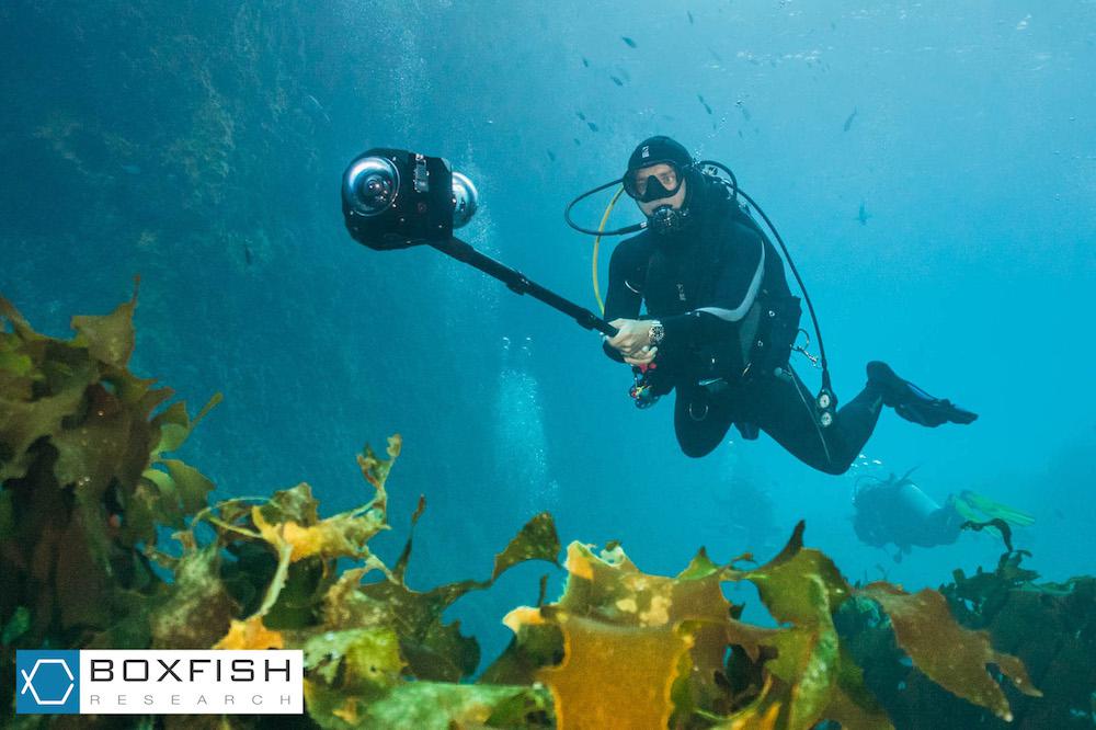 Boxfish 360: The simplest solution for engaging 360/VR underwater experiences