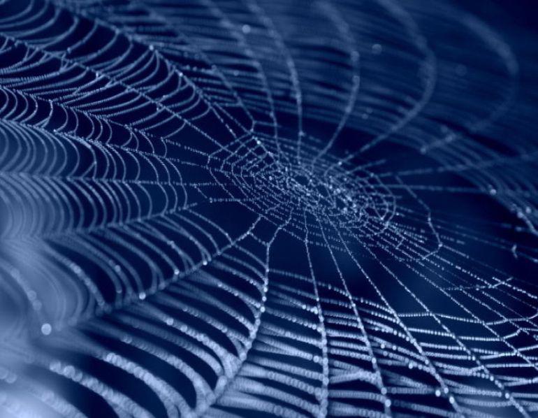 Synthetic Spider Silk