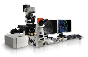 Confocal Microscopy market 2017