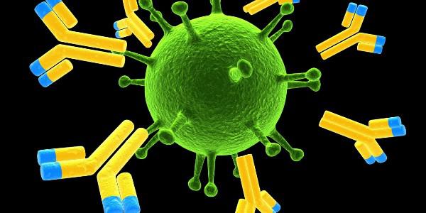 Global Antibody Market 2017 : GenScript, ThermoFisher,