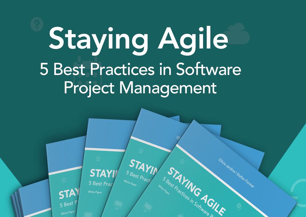 Staying Agile: MeisterLabs Launches Agile Project Management White Paper