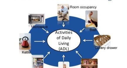 Ambient Assisted Living Market Segmentation and Competitor