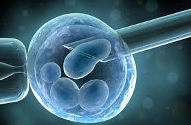 Epithelial Stem Cells