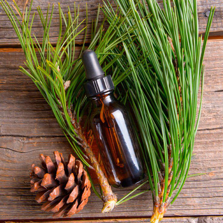 Global Pine-derived Chemicals Market 2017 Detailed Analysis -