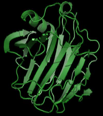 Cellulase Industry Outlook to 2021: Top Companies in Market, Trends & Growth Factors and Details for Business Development