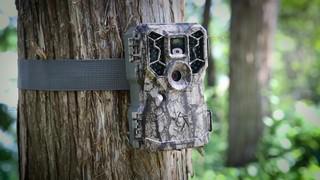 Game Camera(Picture Courtesy)