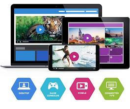 Online Video Platforms Market 2017