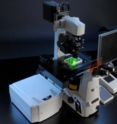 Laser Scanning Microscopes Market