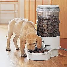 Dog Automatic Feeder