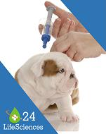 CHINA VETERINARY VACCINE MARKET BY TYPE AND APPLICATION, FORECAST TO 2022
