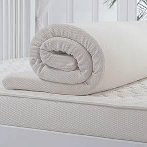 Mattress Toppers Market Type and Application, Forecast to 2022