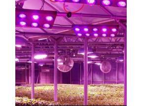 LED Agricultural Grow Lights Market - Technological