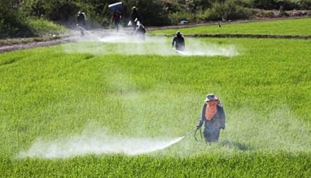Global Crop Protection Chemicals Market 2017 by Players -