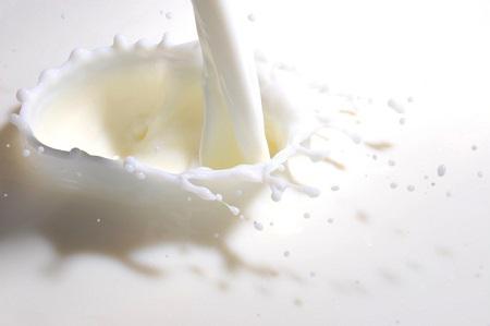 Milk Protein Market Research Report by Market Data Forecast