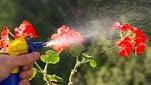 North America Garden Pesticides Market size and growth factors
