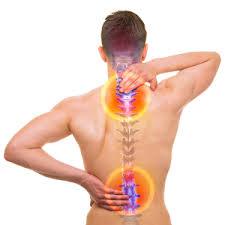 Pain Management Therapeutics Market 2017