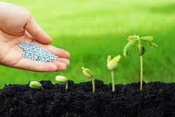 Global Biopesticides market report emphasizes on detailed analysis of companies and manufacturers like CBC (Europe) Srl, Lallemand Inc, Nufarm Agricultural Products, Agrichem, S.A., Emery Oleochemicals, International Penaacea, BioWorks, Inc., Du Pont, Bay