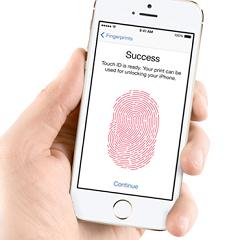 Fingerprint Mobile Biometrics Market 2017