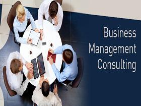 Business Management Consulting Services Market 2017