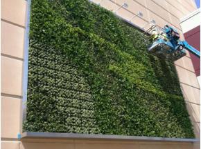 Green Wall Market By Top Key Players- The greenwall company,Greenwall Solutions Pty Ltd, Green Living Technologie, Filtrexx International.
