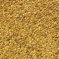 Global Dormant Alfalfa Seed market