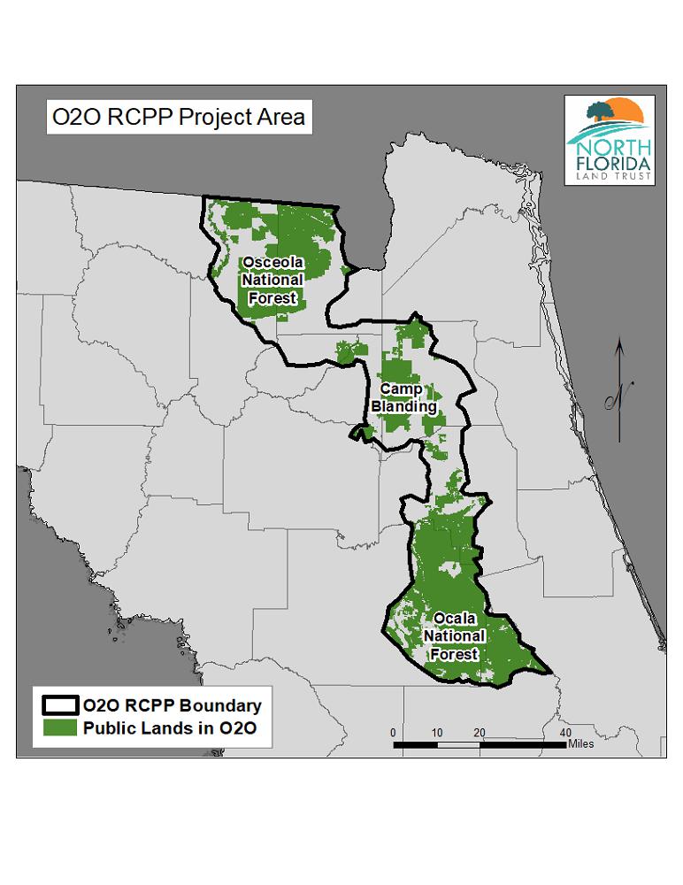 North Florida Land Trust’s O2O Project has been Chosen