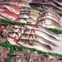 Global Fresh Fish and Seafood market