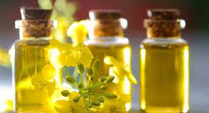 Extracted Canola Oil Market