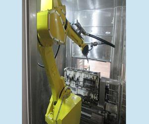 Global Robotic Flexible Washer Market