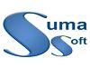 Outsourcing Software Development: Merits and Demerits