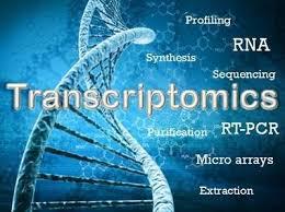 Transcriptomics Market