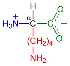 Lysine Market Report for Period 2018 till 2022 Ajinomoto(JP), ADM(US), COFCO(CN), GLOBAL Bio-Chem(CN), East Hope(CN), CJ(KR) and Others.