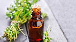 Thyme Oil Market Growth and Demand 2018