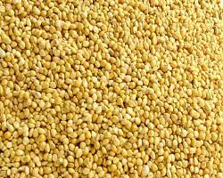 Millet Seed Market Forecast 2018
