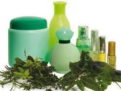 Insights of Herbal Beauty Products Market Trends and Outlook 2025