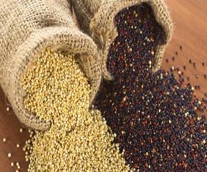 Global Quinoa Seed Market