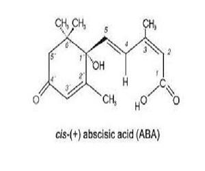 Global S-Abscisic Acid (S-ABA) Market