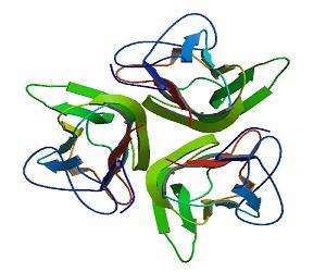 Global CD40 Ligand Market