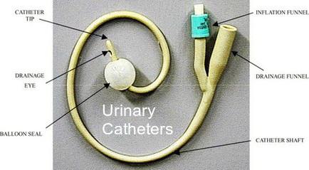 Foley Urinary Catheter Industry, 2023 Market Research Report