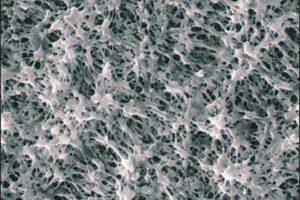 Global PTFE Membrane Market Forecast 2018-2025 Taconic, Layne, Porex, Zeus