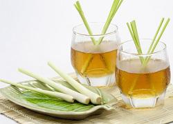 Lemongrass Essential Oil Market