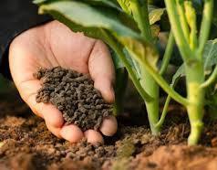 Organic Fertilizers Market, Organic Fertilizers Market size, Organic Fertilizers Market share, Organic Fertilizers Market trend