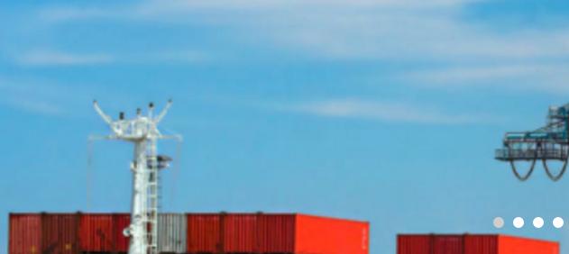 Seagualls can help you with your ocean shipping